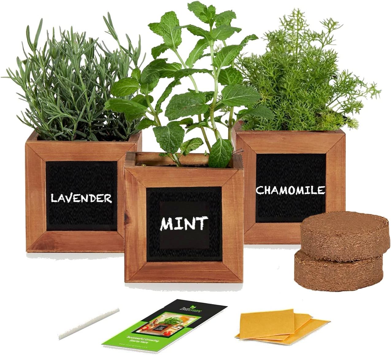 Indoor Herb Growing Kit - Herbal Tea Plants Included in Tea Growing Kits are Lavender, Chamomile  Mint Seeds. Medicinal Herb Plants Seed Kit