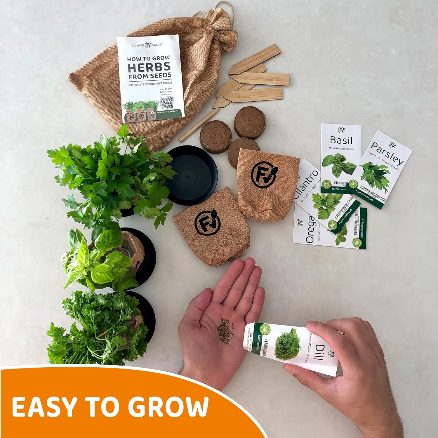 Indoor Herb Starter Grow Kit - 5 Different Medicinal  Tea Herb Seeds - Parsley, Basil, Cilantro (Coriander), Dill, Oregano - Non GMO and Heirloom - Including Pots and Soil - Made in USA